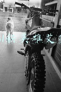 lol新英雄艾翁