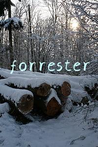 forrester