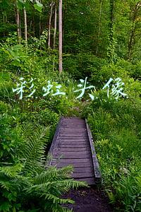 彩虹头像生成器(微信可以设置“彩虹头像”了，快换上！)