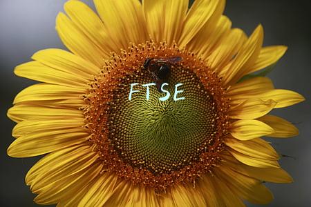 FTSE