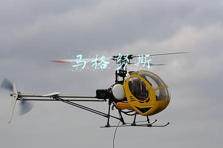 马格努斯