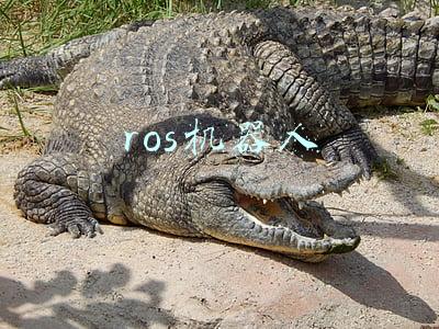 ros机器人