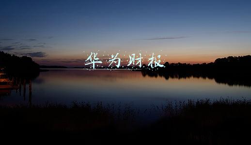 华为财报
