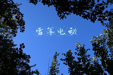 雷军电动
