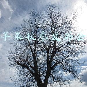 苹果秋季发布会