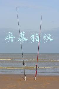 屏幕指纹