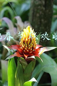 2018春节联欢晚会