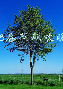 2018春节联欢晚会