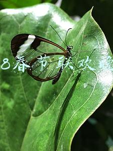 2018春节联欢晚会