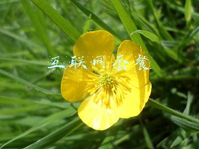 互联网套餐