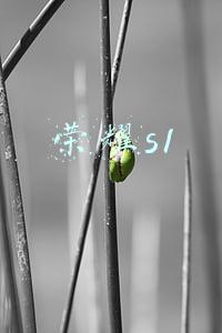 荣耀s1