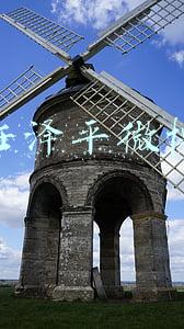 任泽平微博