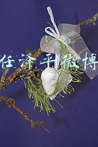 任泽平微博