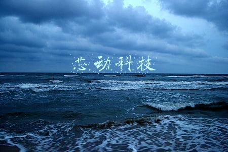 芯动科技