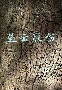 星云股份