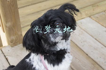 创梦天地