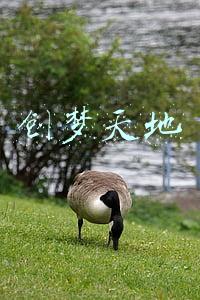 创梦天地官网(创梦天地(01119.HK)全新IP衍生品交易平台悟酱上线)