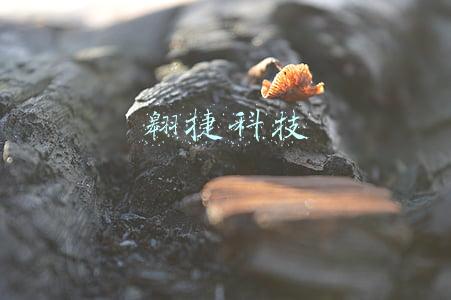 翱捷科技