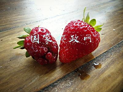 国家邮政网