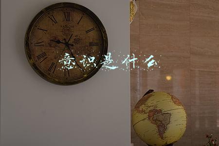 意识是什么