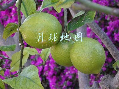 月球地图