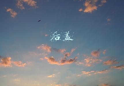 后盖
