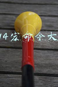 ff14宏命令大全