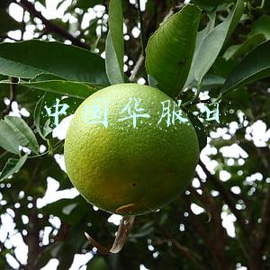 中国华服日是谁定的(2020年“中国华服日”活动举行 弘扬中华优秀传统文化)