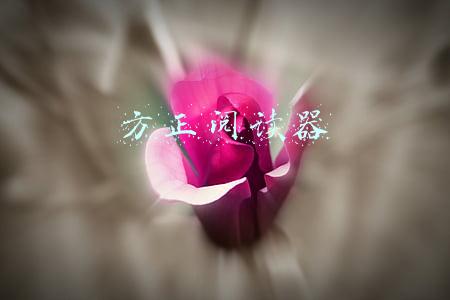 方正阅读器