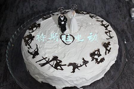 特斯拉电动