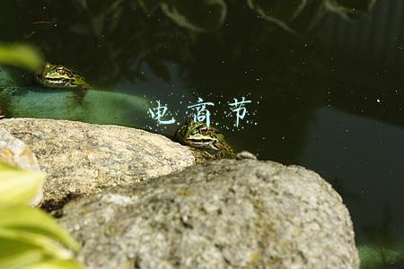 电商节
