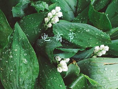 电商节是几月几号(别样6·18：电商造节还能花红百日否？)