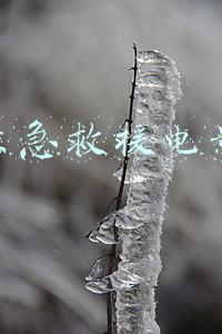 紧急救援电影