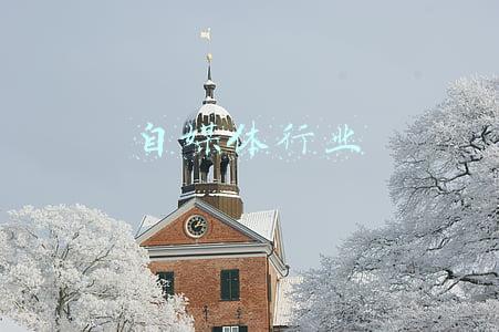 自媒体行业