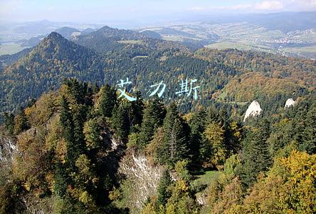 艾力斯