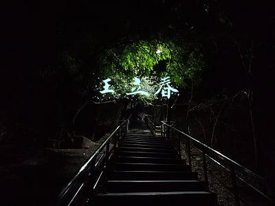 王立春