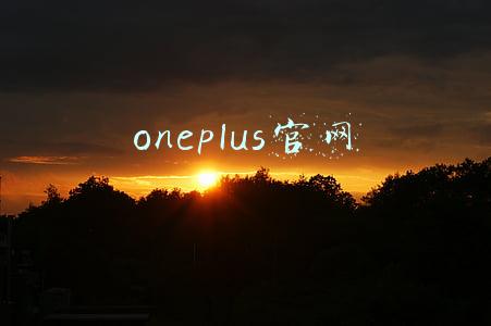oneplus官网