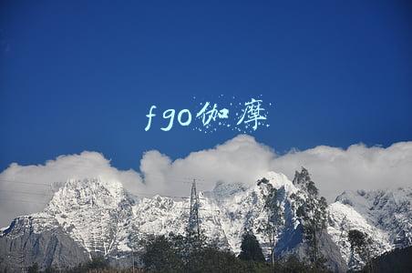 fgo伽摩