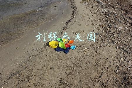 刘强东美国