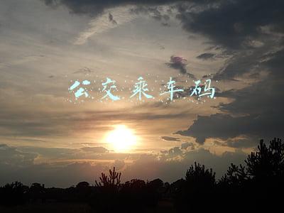 公交乘车码
