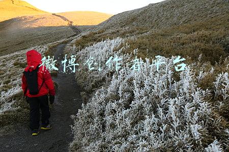 微博创作者平台