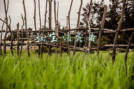 淘宝消费者