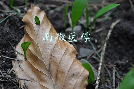 南微医学官网(南微医学科技股份有限公司 关于召开2021年年度业绩说明会的公告)