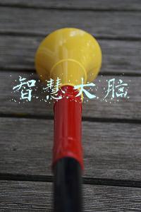 智慧大脑