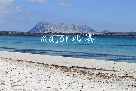 major比赛