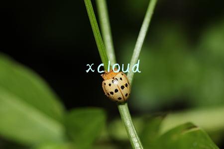 xcloud官网(微软xCloud 9月15日面向安卓设备推出 苹果设备还得再等等)