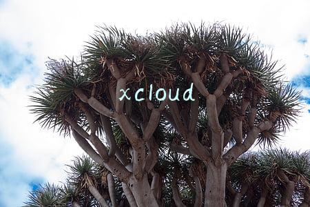 xcloud