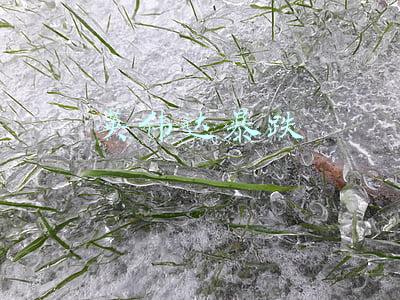 英伟达暴涨(一夜暴涨12%市值突破7000亿美元，英伟达为何上演大涨神话？)