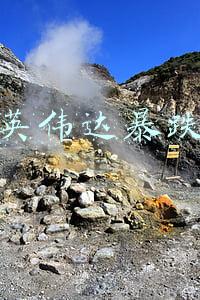 英伟达暴跌