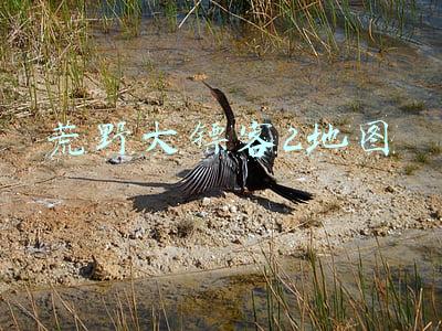 荒野大镖客2地图